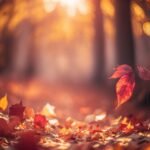 4f75d8fa-dbee-4801-9877-dbe92986212a