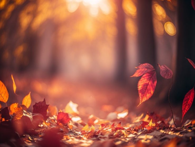 4f75d8fa-dbee-4801-9877-dbe92986212a